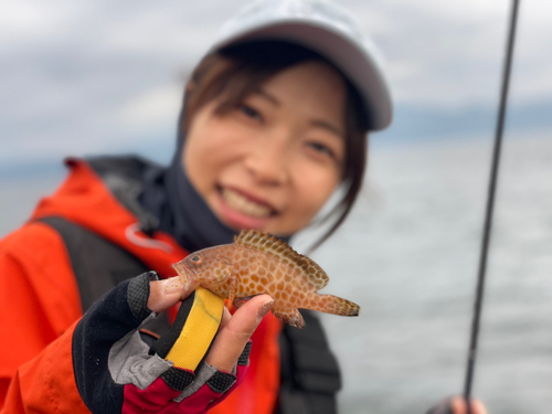 オオモンハタの釣果