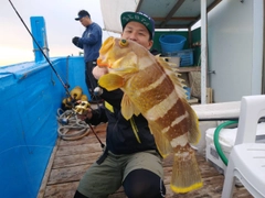 アオハタの釣果