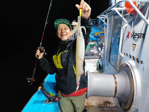 ケンサキイカの釣果