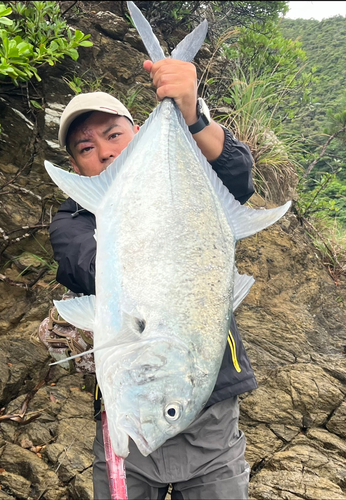 ロウニンアジの釣果