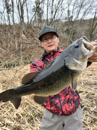 ラージマウスバスの釣果