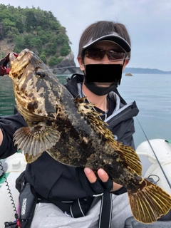 ベッコウゾイの釣果