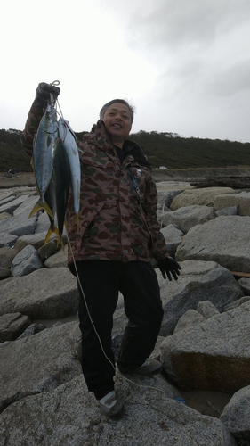 イナダの釣果