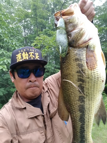 ラージマウスバスの釣果