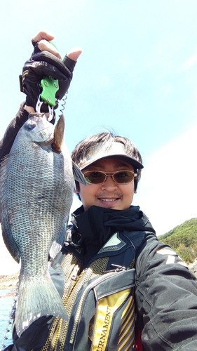 クチブトグレの釣果