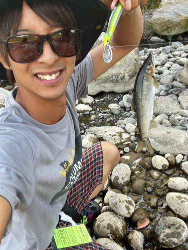 アユの釣果