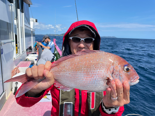 マダイの釣果