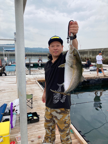 カンパチの釣果