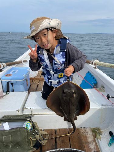 アカエイの釣果