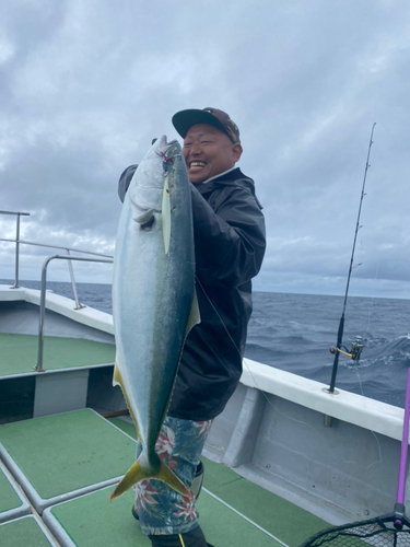 ブリの釣果