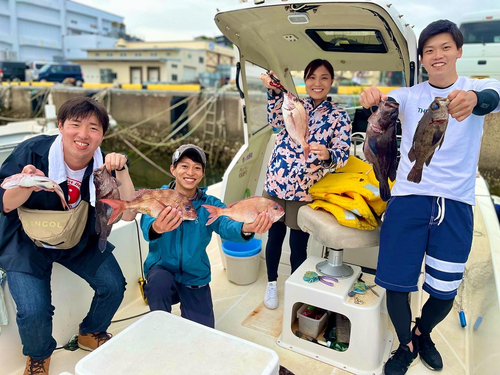 マダイの釣果