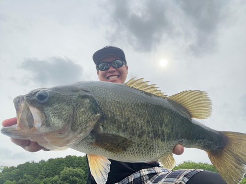 ブラックバスの釣果