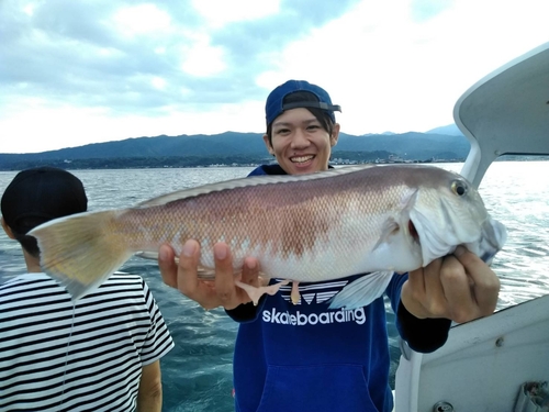 シロアマダイの釣果