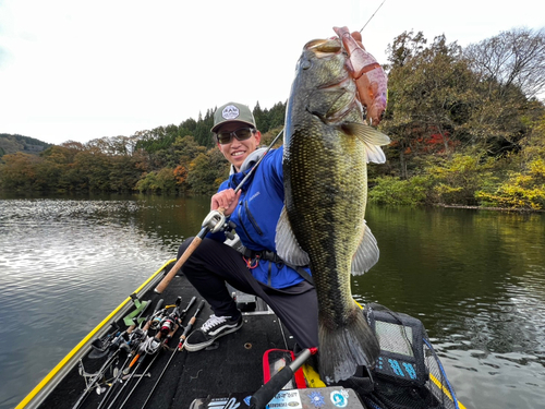 ブラックバスの釣果