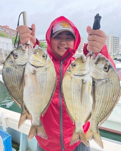 ヘダイの釣果