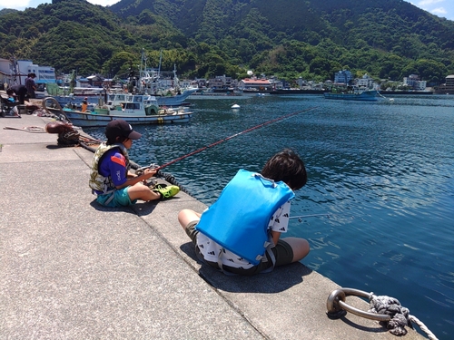 スズメダイの釣果