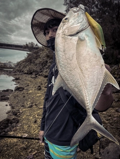 ギンガメアジの釣果