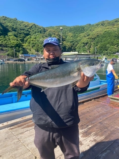 ヒラマサの釣果