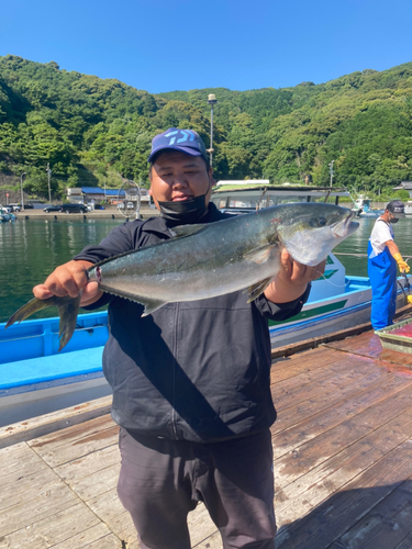 ヒラマサの釣果