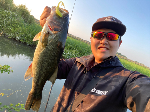 ブラックバスの釣果