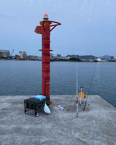 キスの釣果