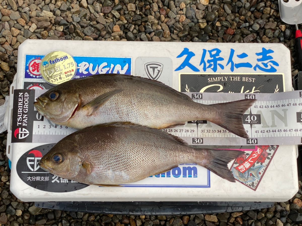 K.HITOSHIさんの釣果 2枚目の画像