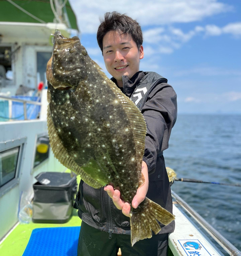 ヒラメの釣果