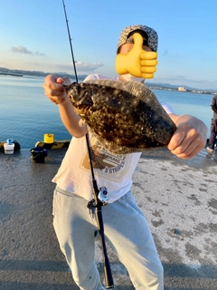 ヒラメの釣果
