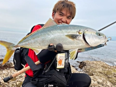 ブリの釣果