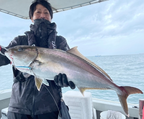 カンパチの釣果