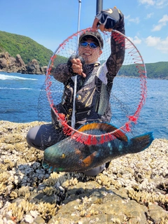 アオブダイの釣果