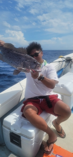 ツチホゼリの釣果