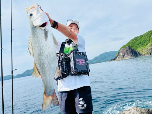 ヒラスズキの釣果