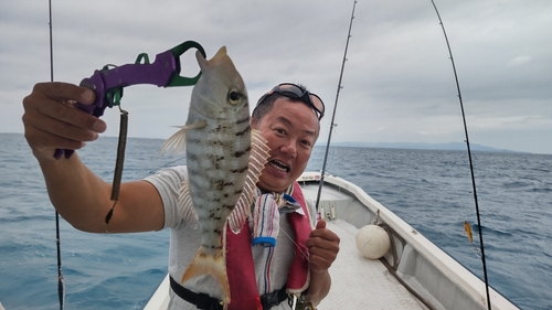 イシフエダイの釣果