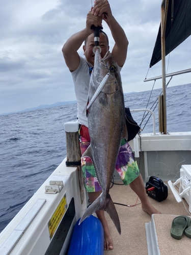 カンパチの釣果