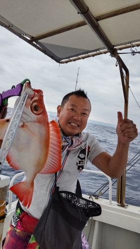 ホウセキキントキの釣果