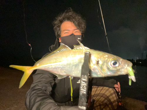 大分県で釣れたアジの釣り・釣果情報 - アングラーズ