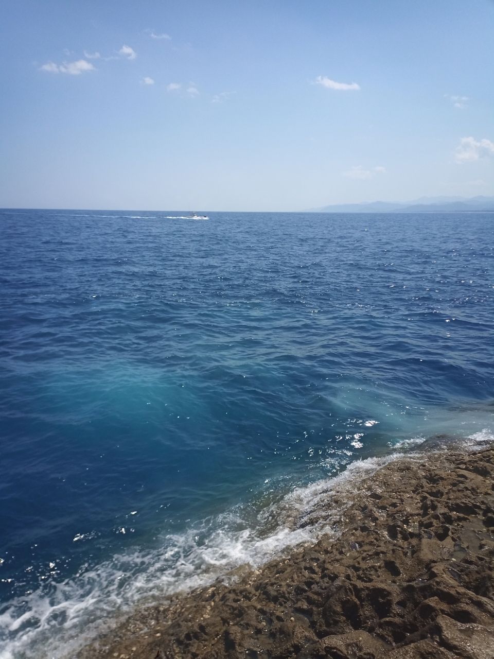 名古屋のせっきーさんの釣果 2枚目の画像