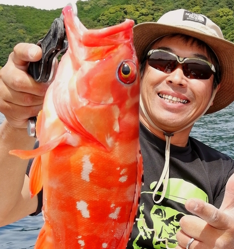 オオモンハタの釣果