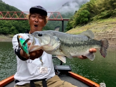 ブラックバスの釣果