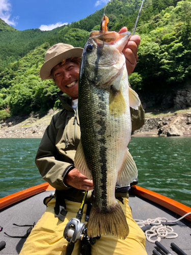 ブラックバスの釣果