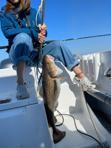 マダラの釣果