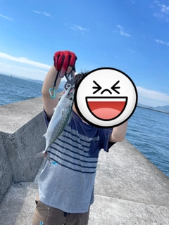 ハガツオの釣果