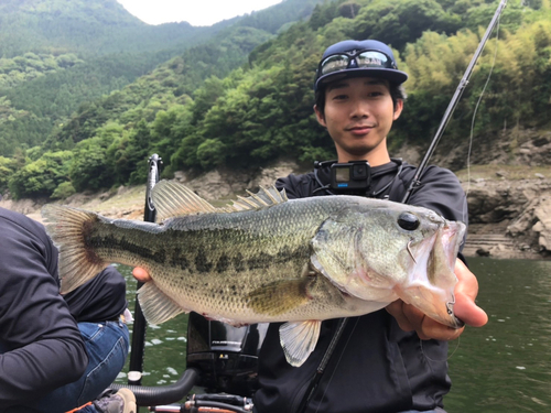 ラージマウスバスの釣果