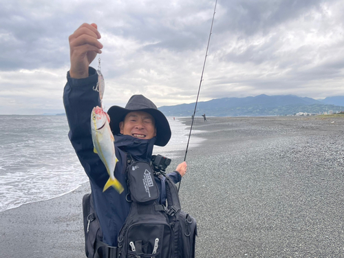 ワカシの釣果