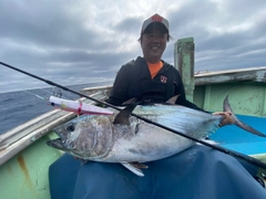 クロマグロの釣果