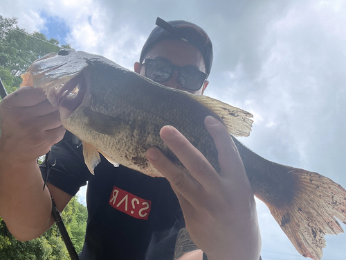 ブラックバスの釣果