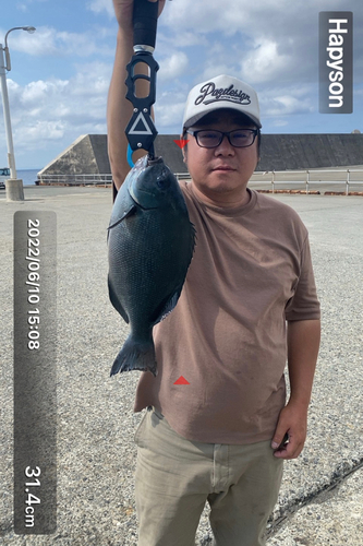 クチブトグレの釣果