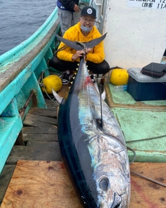 クロマグロの釣果