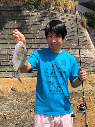 ロウニンアジの釣果